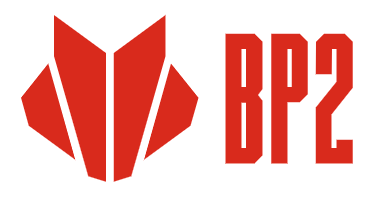 BP2 – Blachprofil 2