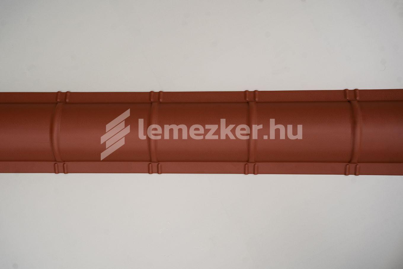 Íves gerincelem - 13