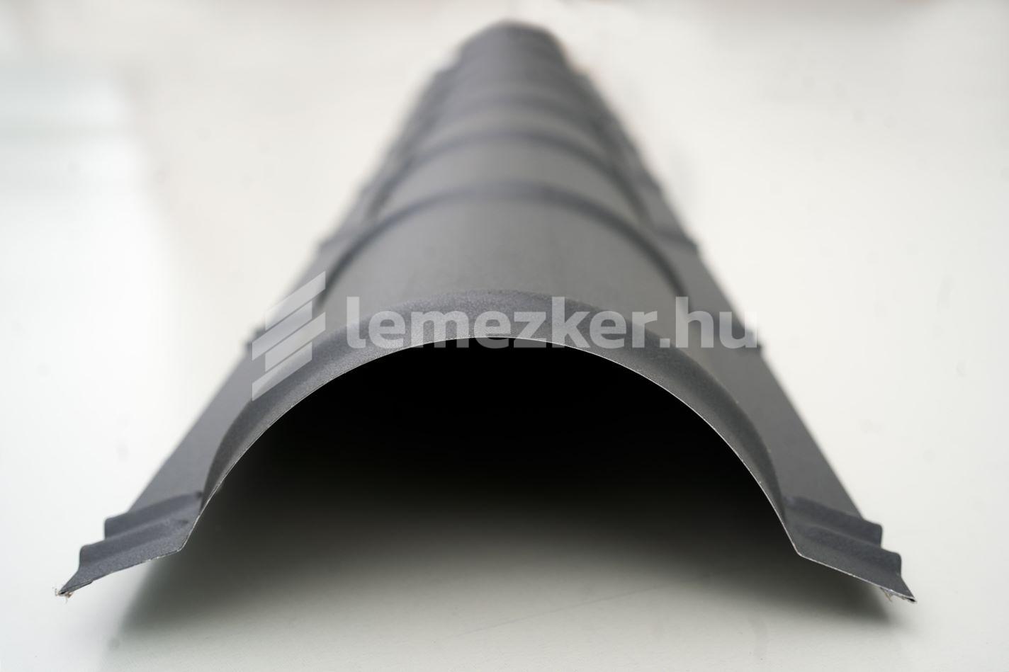 Íves gerincelem - 2