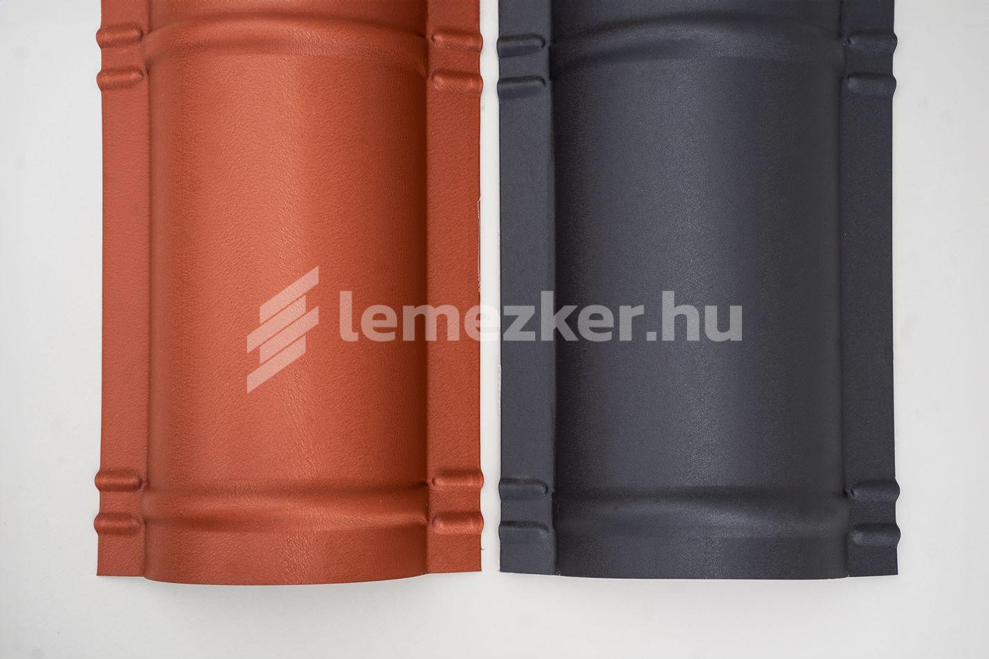 Íves gerincelem - 6